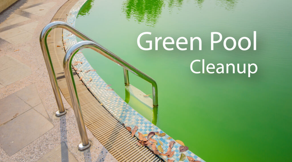 Green Pool Cleanup