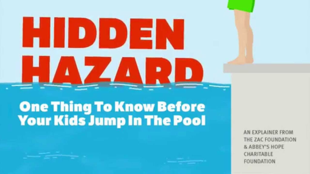 Hidden Hazard Video